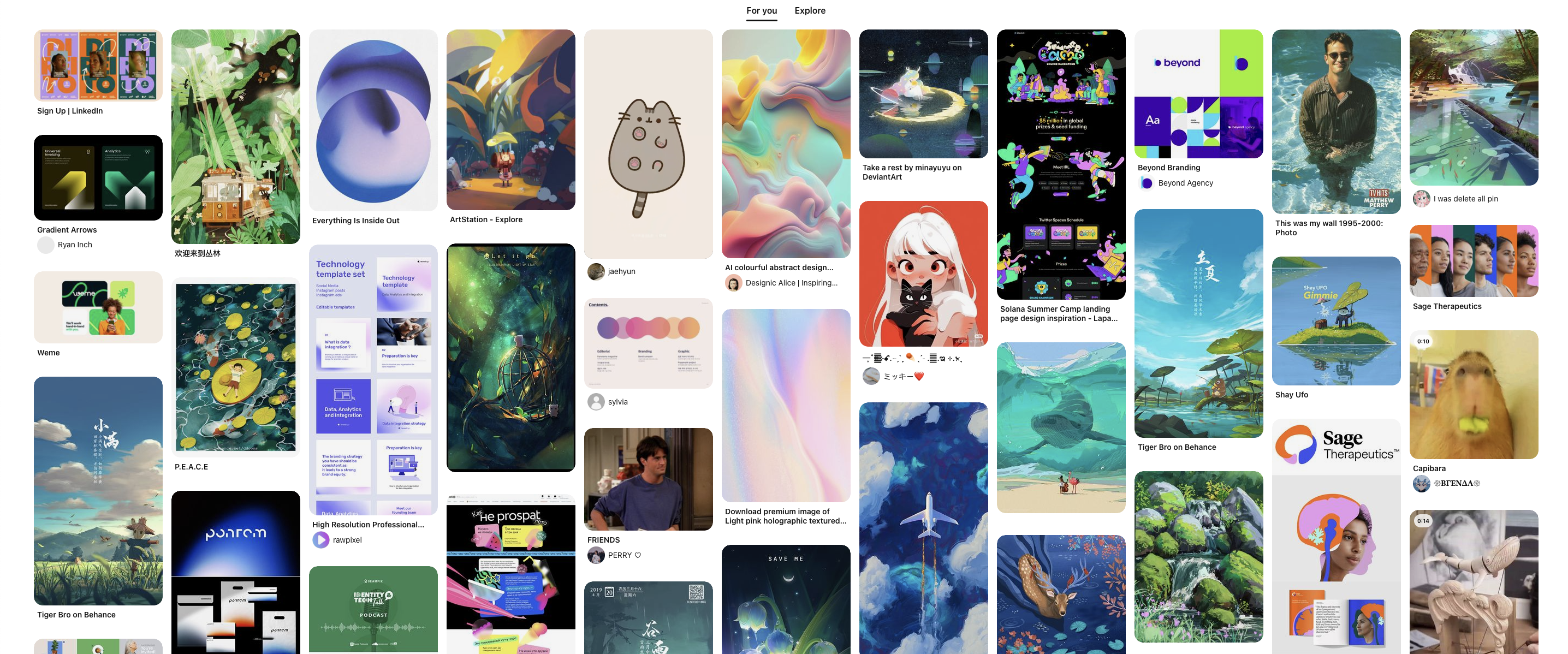 Pinterest images of designers and illustrators 